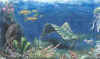 Edikarské moře small.jpg (18313 bytes)
